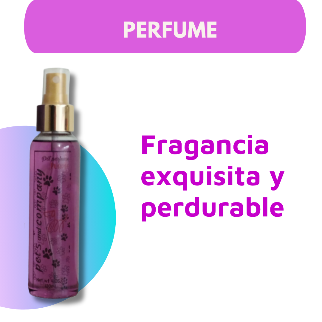 Kit Premium de Cuidado Capilar para Mascotas🐾